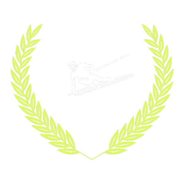 icon for Expert Skiers