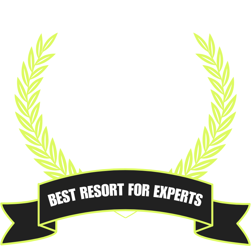 icon for Expert Skiers ski resort awards