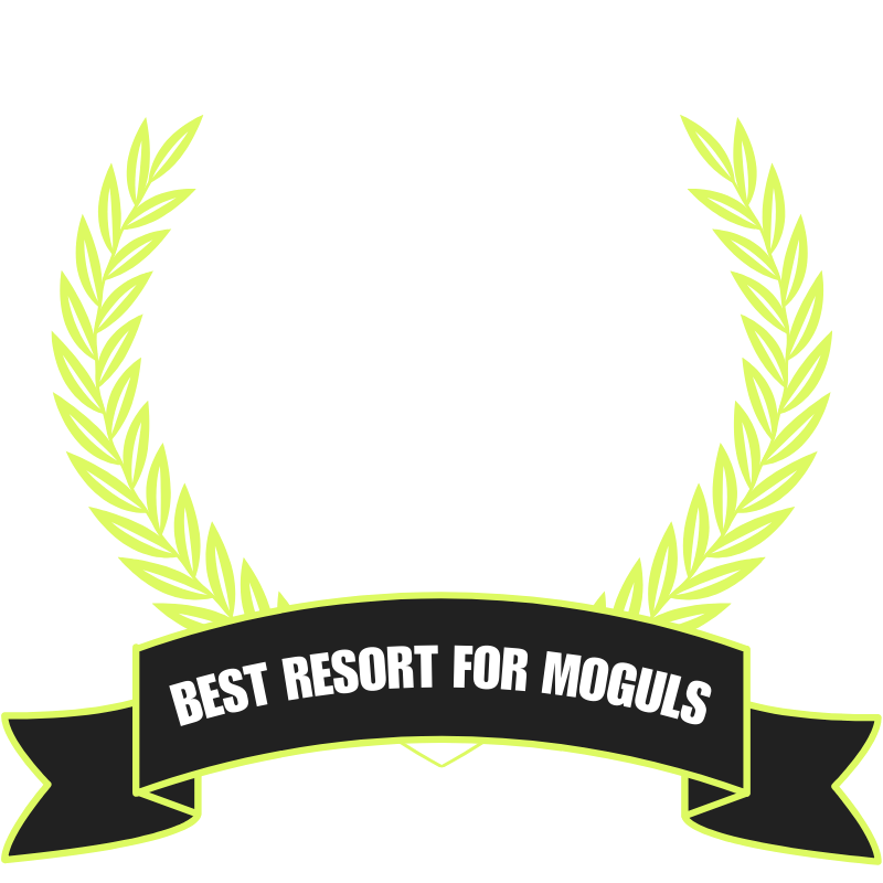 icon for Moguls ski resort awards