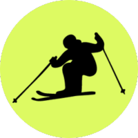 icon for Mogul Fields