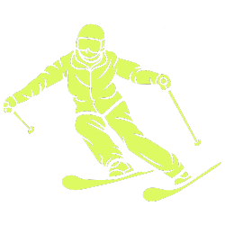 Image for Ski guide