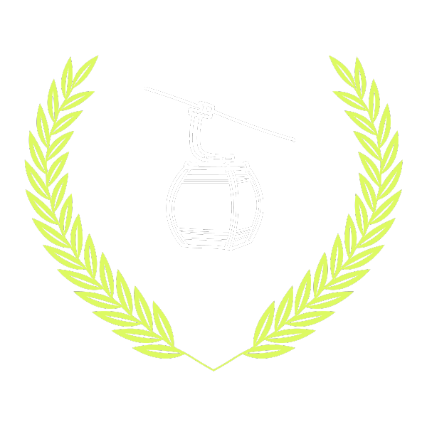 icon for Efficient Ski Lifts