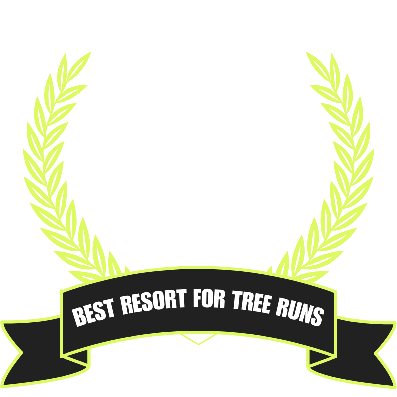 icon for Tree Runs ski resort awards