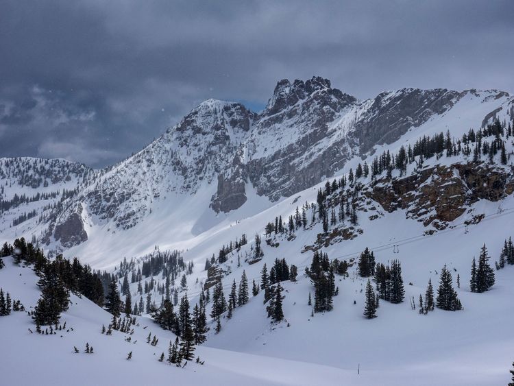 image of Alta Ski Area