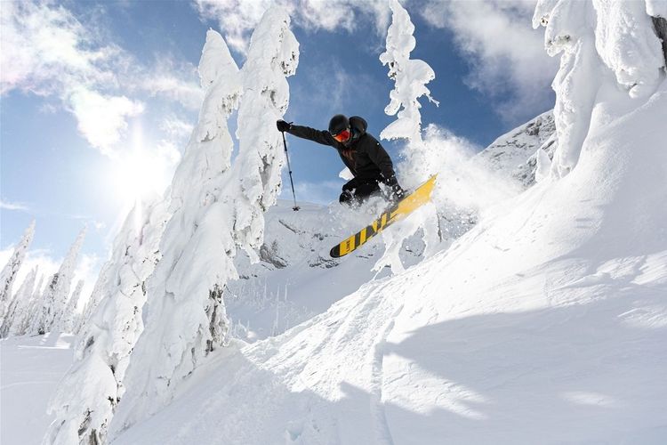 © https://tourismfernie.com/activities/skiing-and-snowboarding/fernie-alpine-resort - Alex Vhos