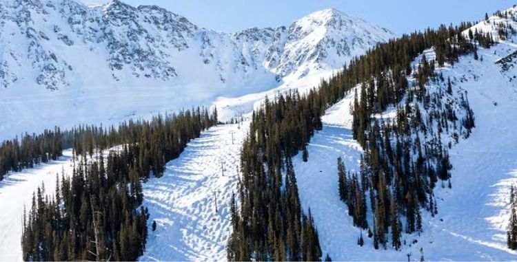 © https://www.snowpak.ca/colorado/loveland