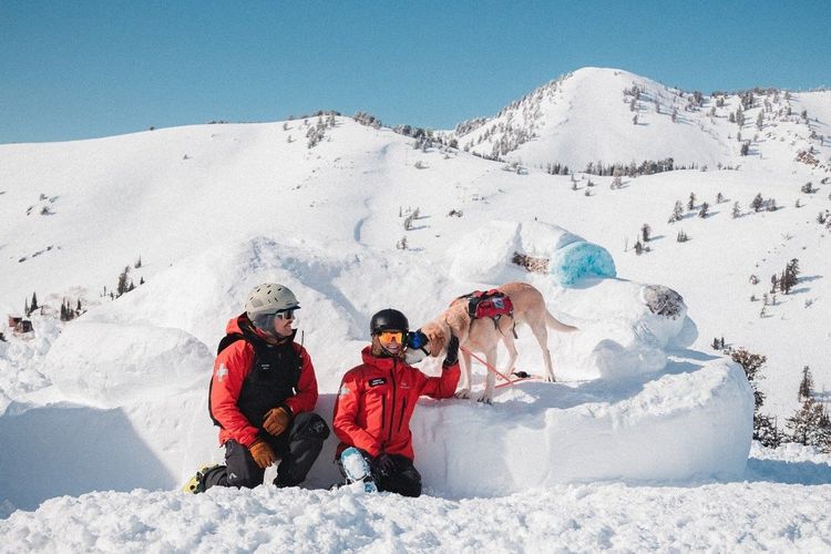 © Powder Mountain - https://powdermountain.com/