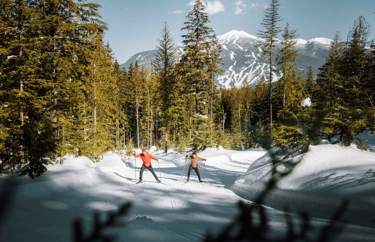 © https://seerevelstoke.com