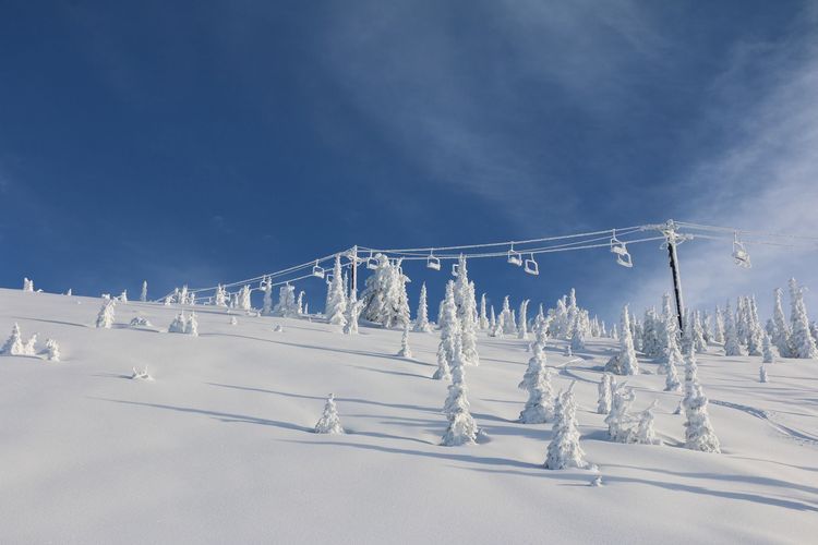 image of Whitefish Mountain Resort (MT)