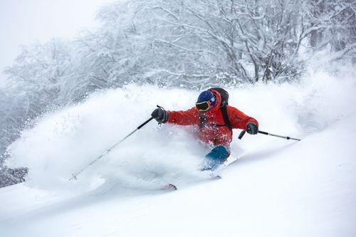 The Best Ski Resorts for Powder Skiing in the World - 2026 Rankings